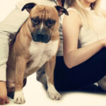 La vacunación antirrábica gratuita para perros y gatos continúa en las veterinarias adheridas del Partido de La Costa