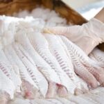 Dónde comprar pescado artesanal fresco en La Costa